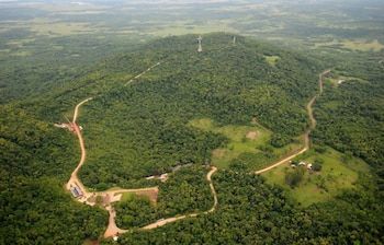 Extranjerización de tierras: un historiador explicó cómo nació el debate y cuáles son las zonas bajo mayor presión