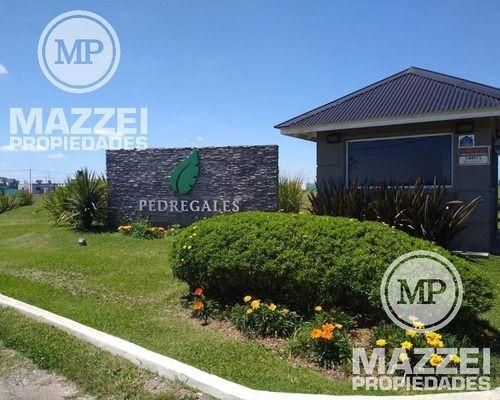Pedregales de San Vicente